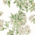 Camellia Garden Devon Spring on White Wallpaper by Anna French