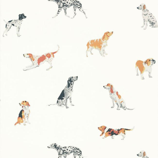 AT24600 Buddy Devon Multi Wallpaper by Anna French