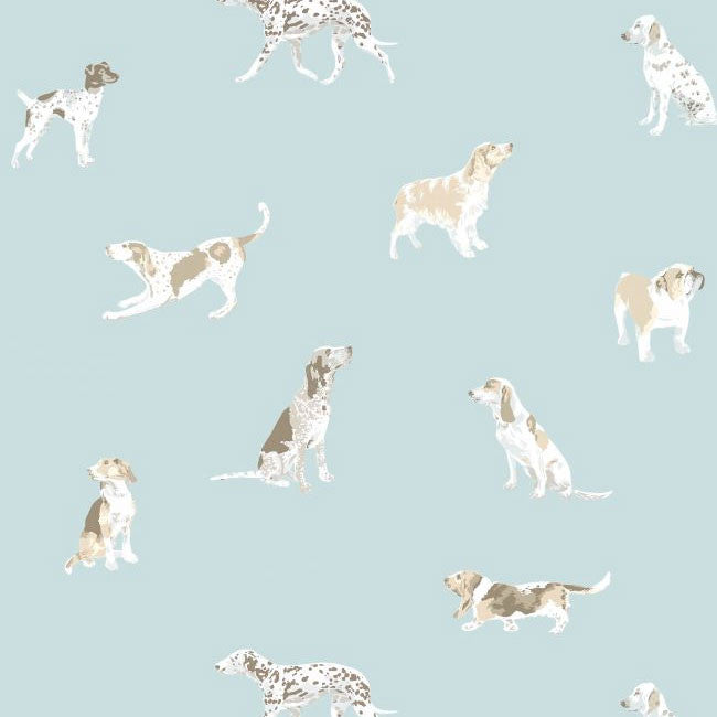 AT24603 Buddy Devon Robin's Egg Wallpaper by Anna French