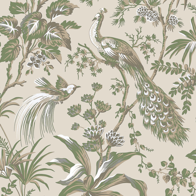 AT57832 Peacock Toile Bristol Green on Natural Wallpaper by Anna French