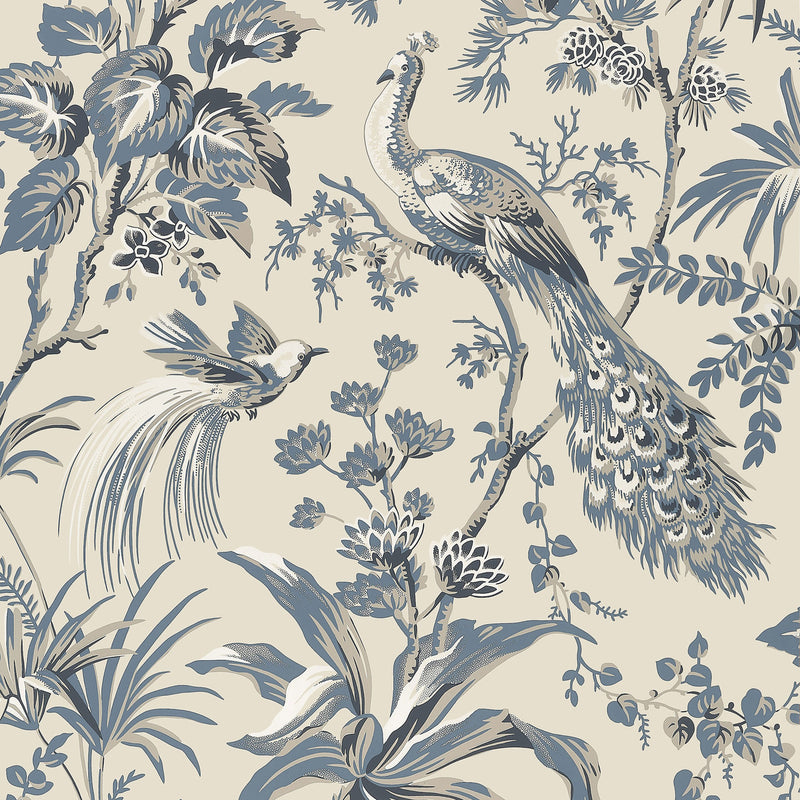 AT57833 Peacock Toile Bristol Slate & Black Wallpaper by Anna French