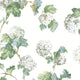 Sussex Hydrangea Bristol White & Green Wallpaper by Anna French