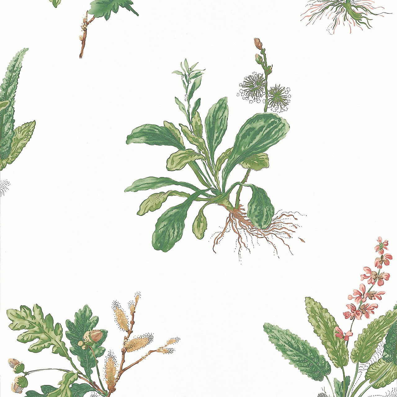 AT57852 Woodland Bristol Green & Blush Wallpaper by Anna French