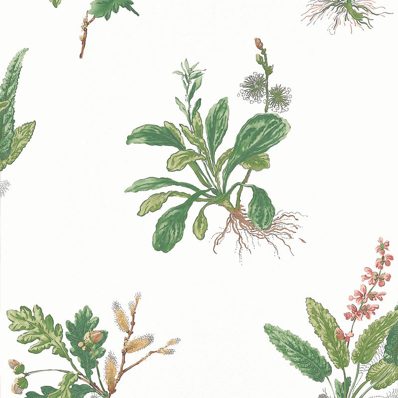 AT57852 Woodland Bristol Green & Blush Wallpaper by Anna French