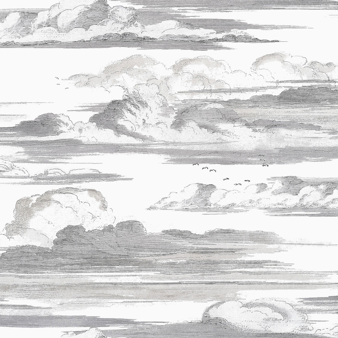 AT57872 Cielo Bristol Black & White Wallpaper by Anna French