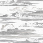 AT57872 Cielo Bristol Black & White Wallpaper by Anna French