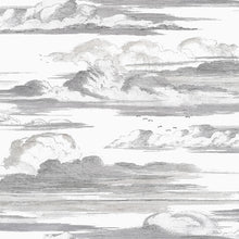 AT57872 Cielo Bristol Black & White Wallpaper by Anna French