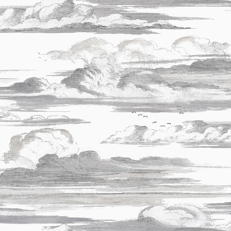 AT57872 Cielo Bristol Black & White Wallpaper by Anna French