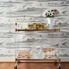 AT57872 Cielo Bristol Black & White Wallpaper by Anna French