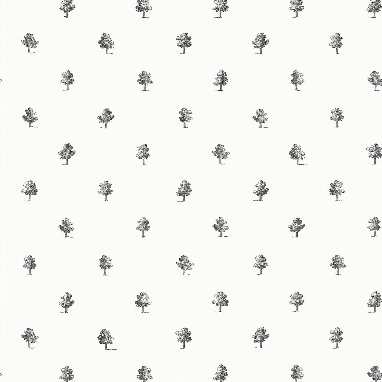 AT57876 Ashton Bristol Black & White Wallpaper by Anna French