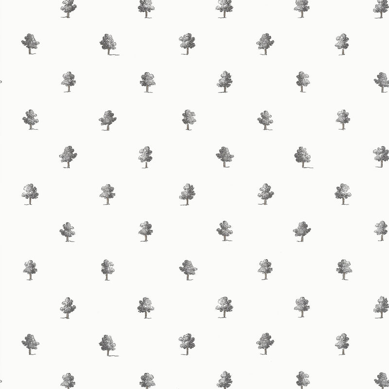 AT57876 Ashton Bristol Black & White Wallpaper by Anna French