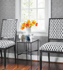 AT9842 Charlotte Raffia Nara Black and Metallic Silver Wallpaper by Anna French