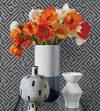 AT9842 Charlotte Raffia Nara Black and Metallic Silver Wallpaper by Anna French