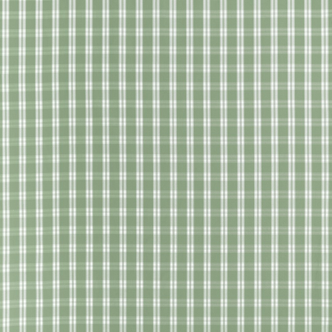 AW10709 Payton Check Green Fabric by Anna French