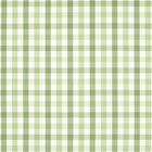 AW15145 Saybrook Check Antilles Green Fabric by Anna French