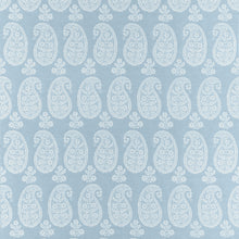 AW16108 Campania Paisley Robin's Egg Belvedere Fabric by Anna French