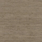 AW16117 Pradesh Natural Belvedere Fabric by Anna French