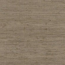 AW16117 Pradesh Natural Belvedere Fabric by Anna French