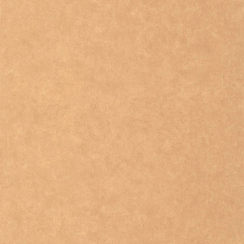 AZU105243000 Uni Mat Azur Wallpaper by Caselio