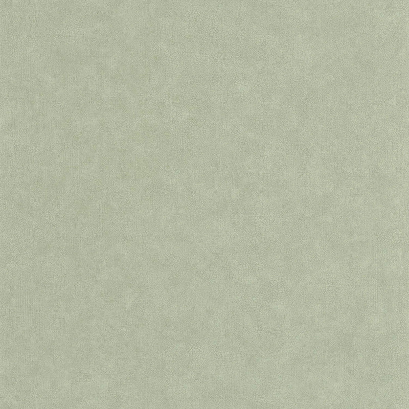 AZU105247740 Uni Mat Azur Wallpaper by Caselio