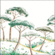 Pinea Azur Wallpaper by Caselio
