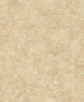 Riz Single Ocre Palette Wallpaper by Coordonné