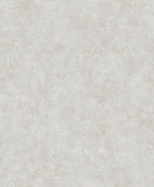 B00025 Riz Single Taupe Palette Wallpaper by Coordonné
