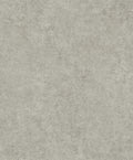Ciment Single Taupe Palette Wallpaper by Coordonné