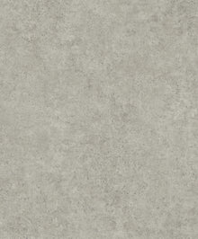 B00028 Ciment Single Taupe Palette Wallpaper by Coordonné