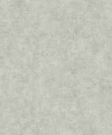B00031 Riz Single Sauge Palette Wallpaper by Coordonné