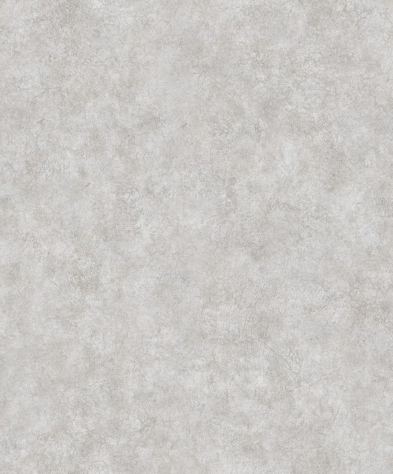 B00037 Riz Single Acier II Palette Wallpaper by Coordonné