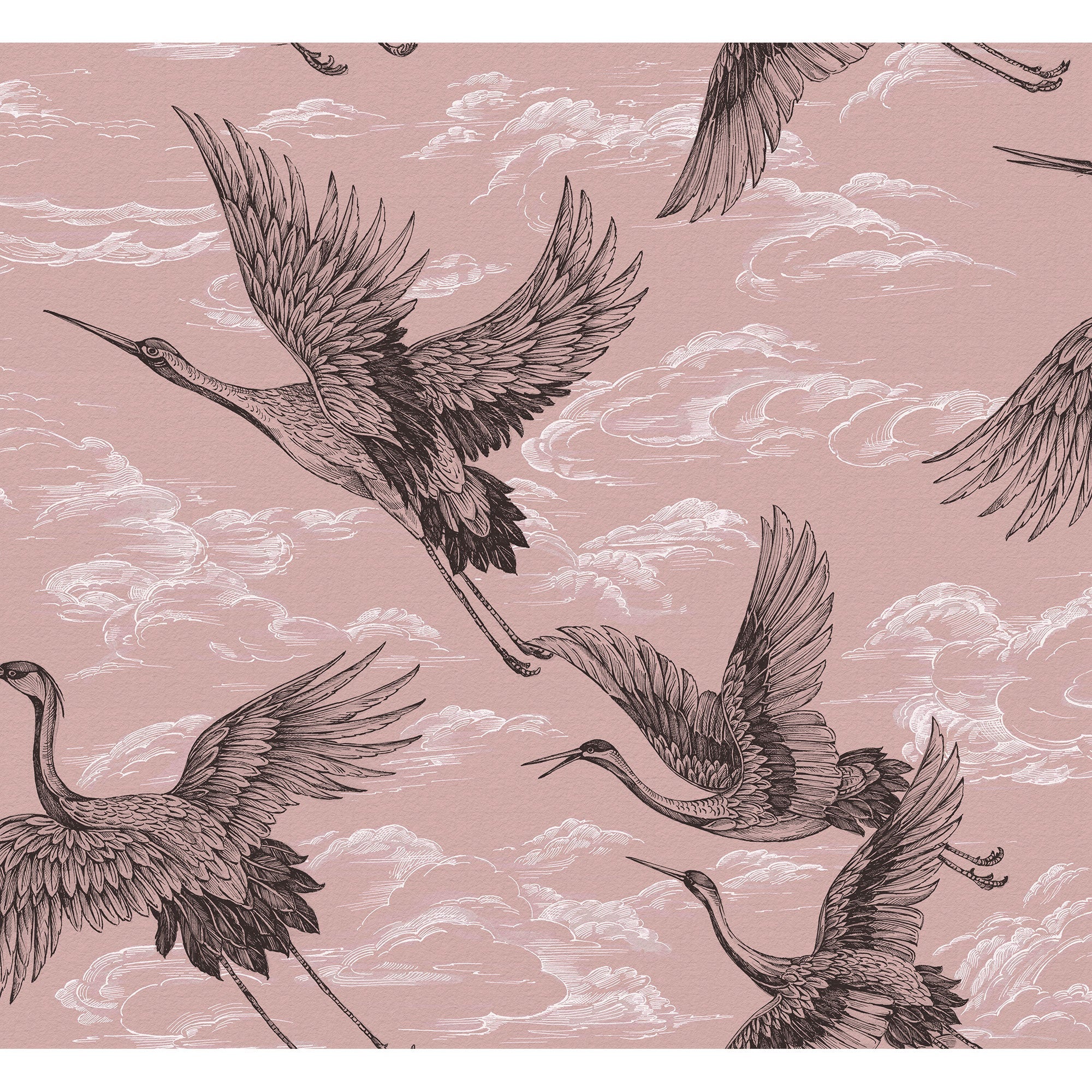 Imperial Ibis Rose Forbidden City Wallpaper by Coordonné