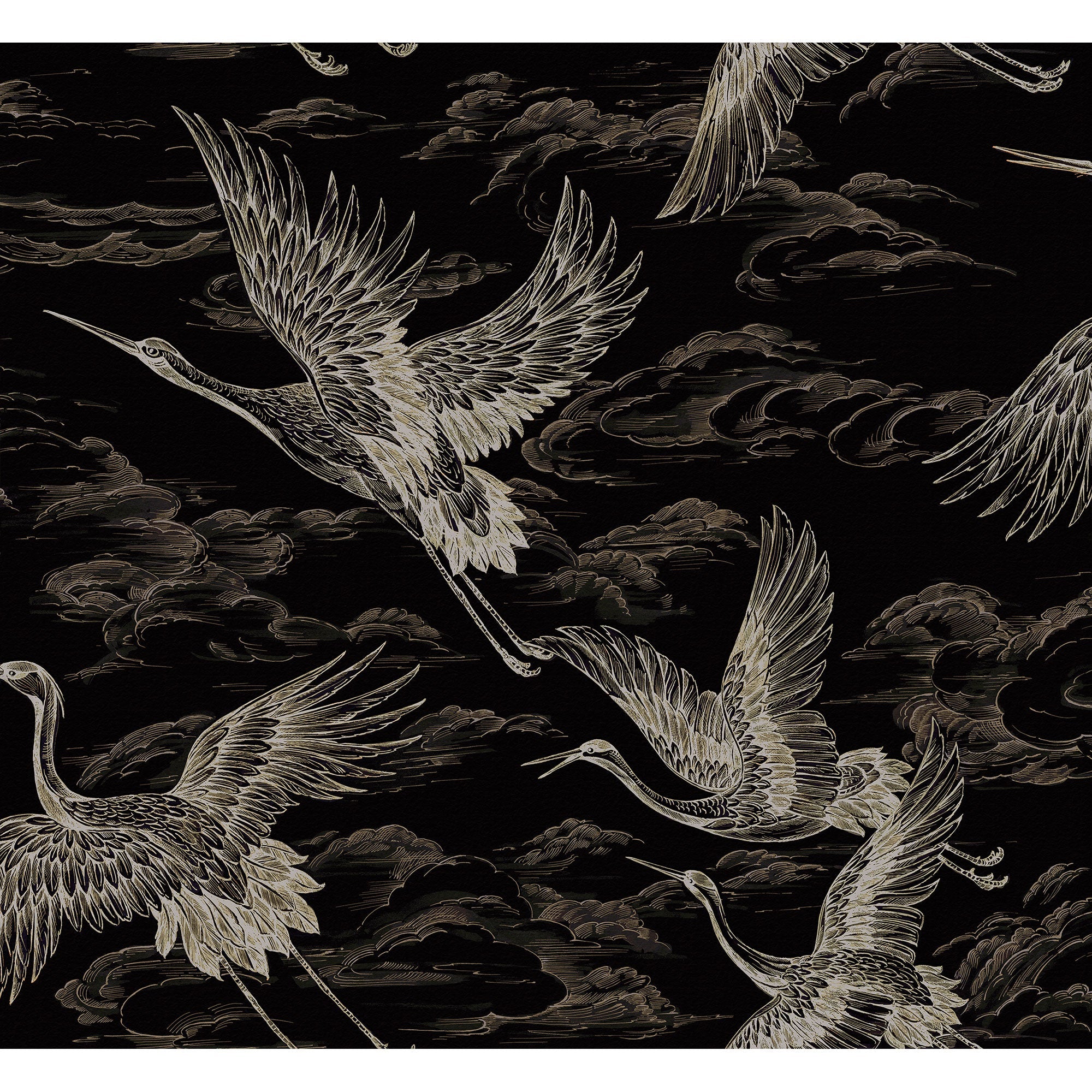Imperial Ibis Onyx Forbidden City Wallpaper by Coordonné
