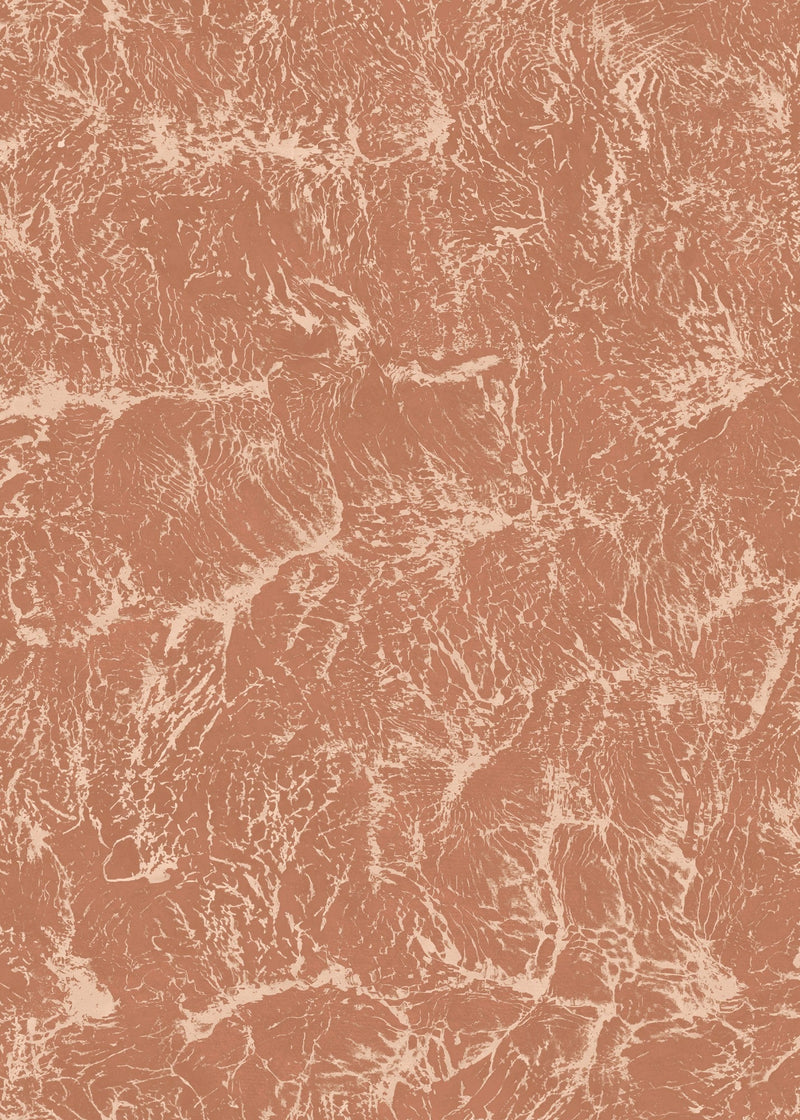 B00201 Sepia Rose Artisan by Bodo Sperlein Wallpaper by Coordonné