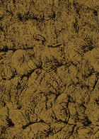 B00204 Sepia Gold Artisan by Bodo Sperlein Wallpaper by Coordonné