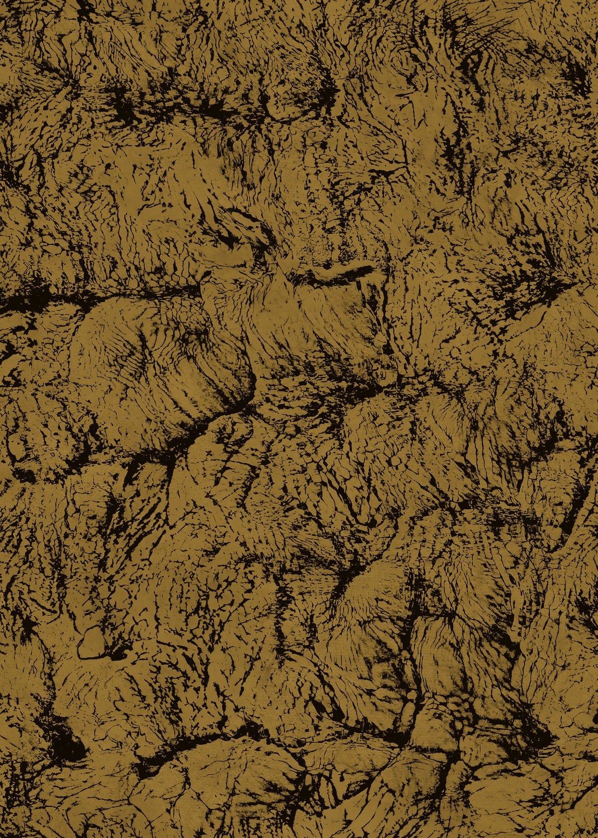 B00204 Sepia Gold Artisan by Bodo Sperlein Wallpaper by Coordonné