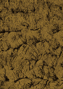 B00204 Sepia Gold Artisan by Bodo Sperlein Wallpaper by Coordonné