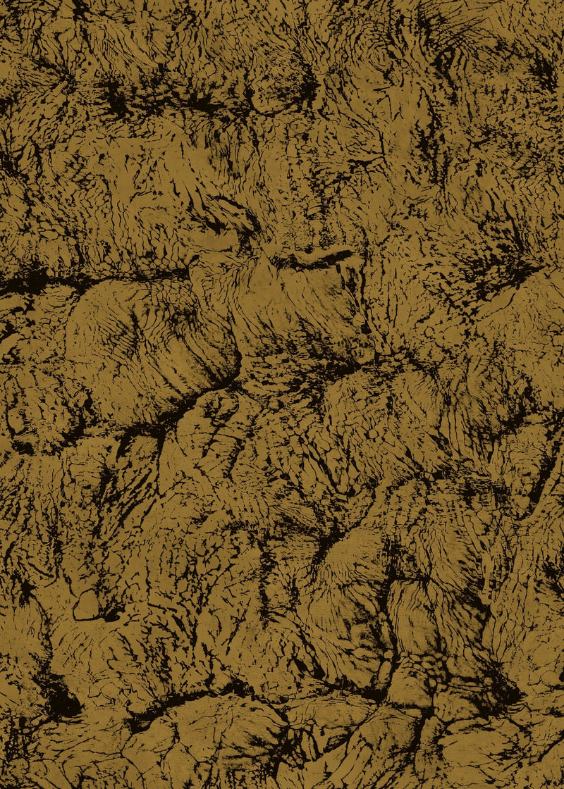 B00204 Sepia Gold Artisan by Bodo Sperlein Wallpaper by Coordonné