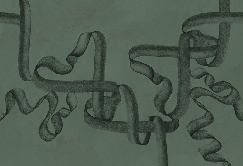 B00248 Ribbon Emerald Artisan by Bodo Sperlein Mural by Coordonné (400x280cm)