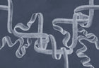 B00250 Ribbon Lapislazuli Artisan by Bodo Sperlein Mural by Coordonné (400x280cm)