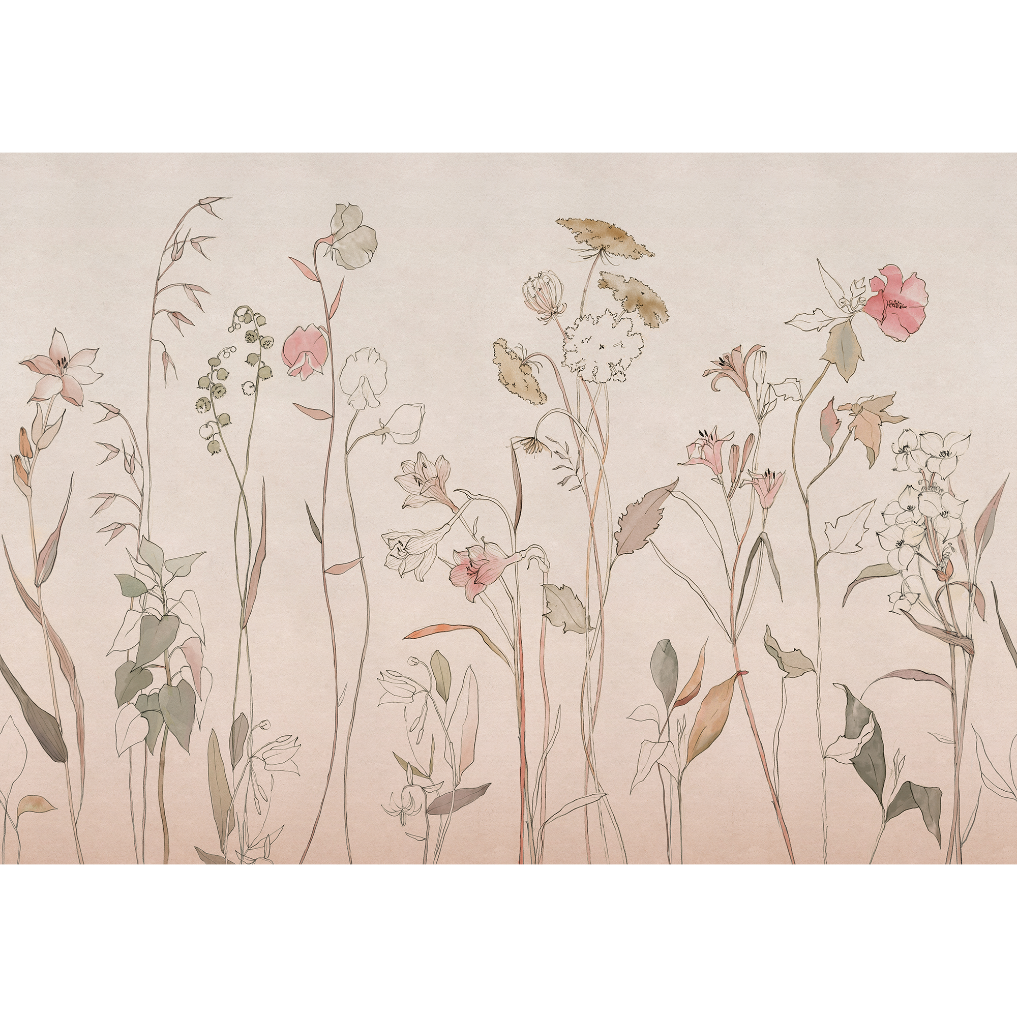 Countryside Pink Victorian Mural by Coordonné (400x280cm)