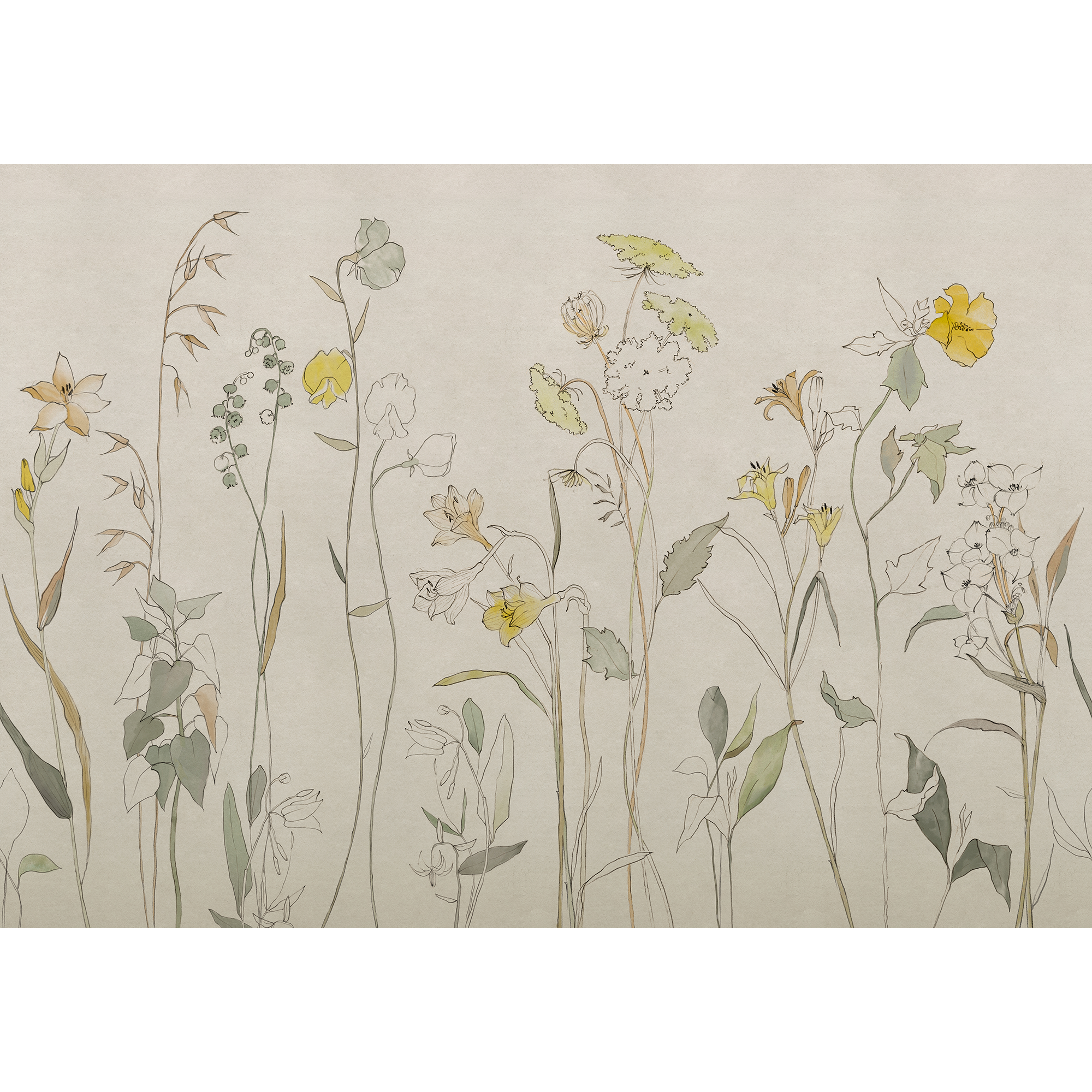 Countryside Yellow Victorian Mural by Coordonné (400x280cm)