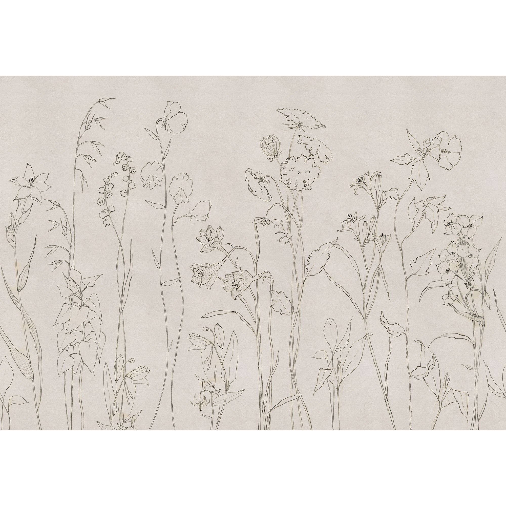 Countryside Ink Victorian Mural by Coordonné (400x280cm)