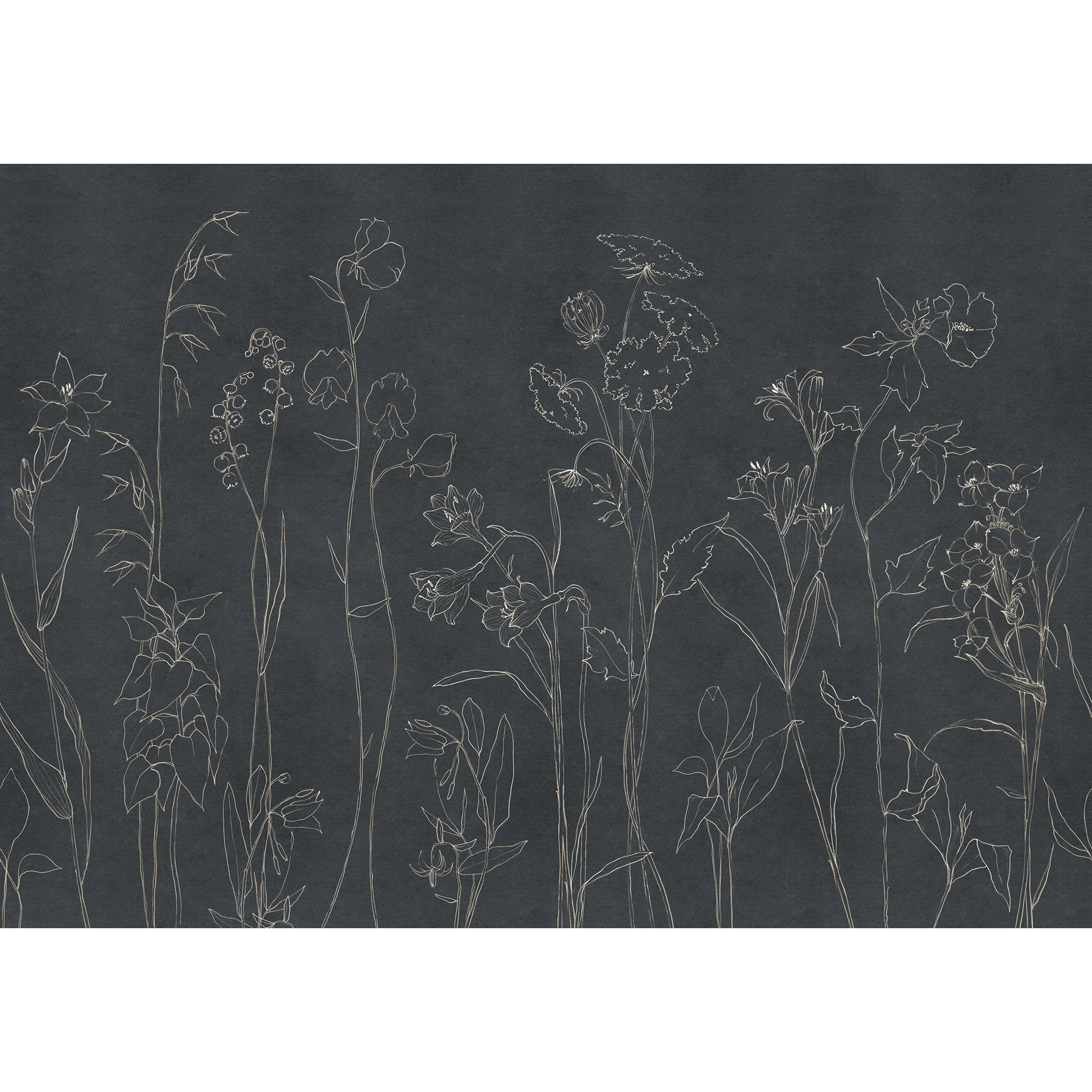 Countryside Black Victorian Mural by Coordonné (400x280cm)