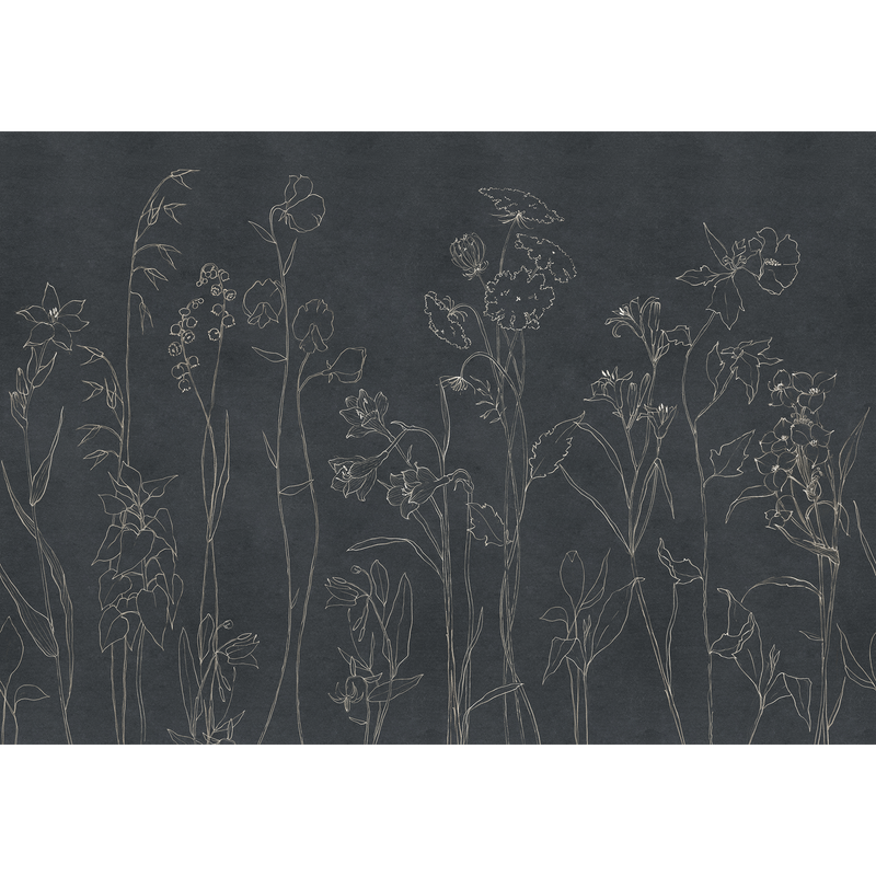 Countryside Black Victorian Mural by Coordonné (400x280cm)