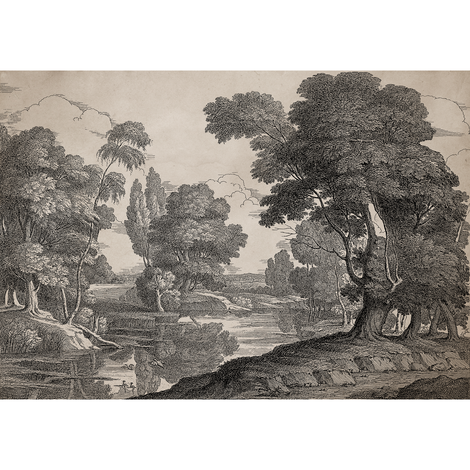 Engraving Ink Victorian Mural by Coordonné (400x280cm)