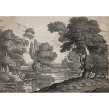Engraving Ink Victorian Mural by Coordonné (400x280cm)