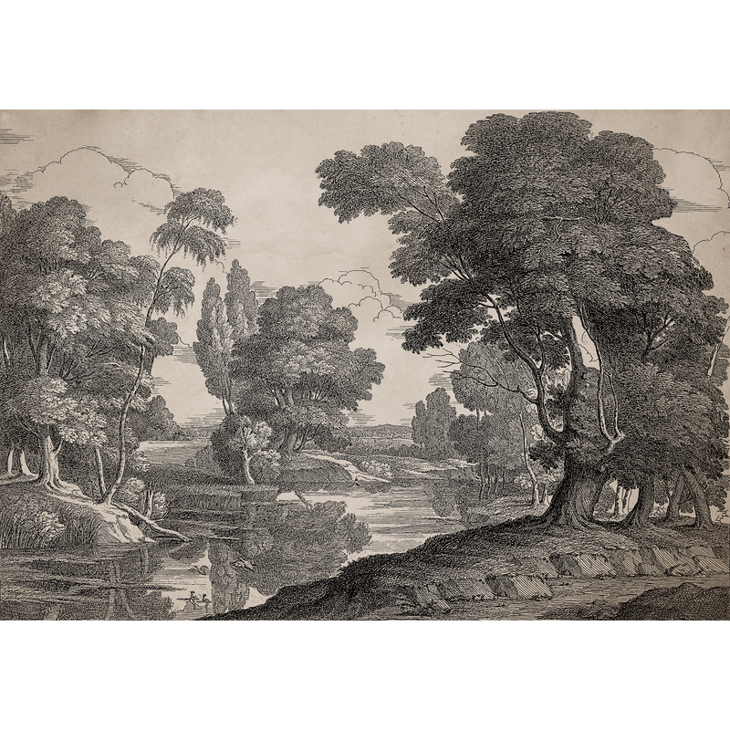 Engraving Ink Victorian Mural by Coordonné (400x280cm)
