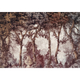 Byron Poem Wine Victorian Mural by Coordonné (400x280cm)