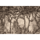 Byron Poem Black Victorian Mural by Coordonné (400x280cm)